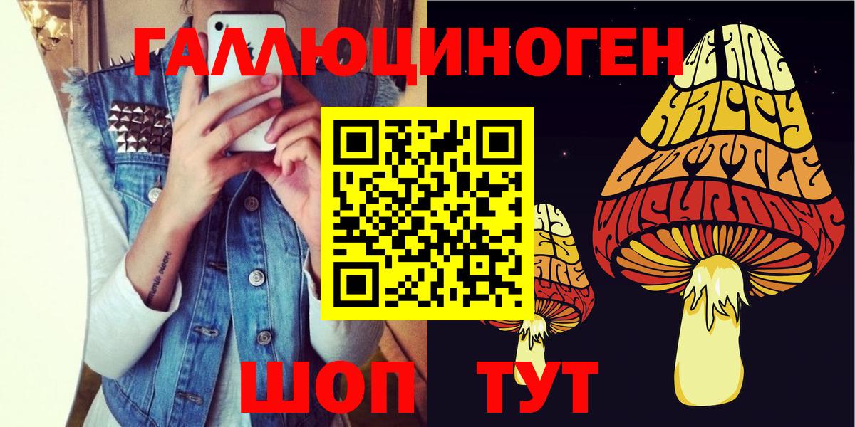 Энгельс  где найти наркотики  Вход с VPN  Галлюциногенные грибы мицелий 