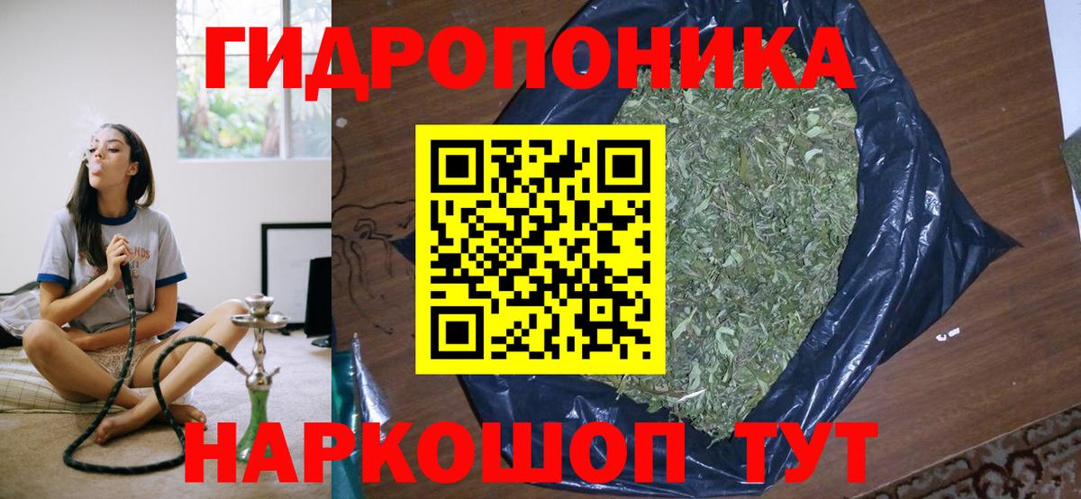 Конопля SATIVA & INDICA  Бошки Шишки план  Энгельс  Каннабис гибрид  Вход с VPN 